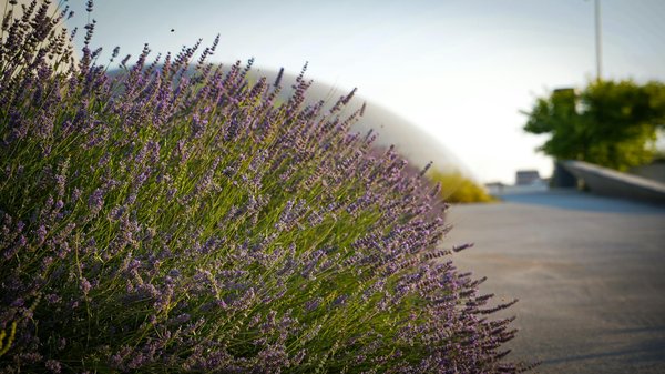 Piscines hors-sol : les matériaux à privilégier