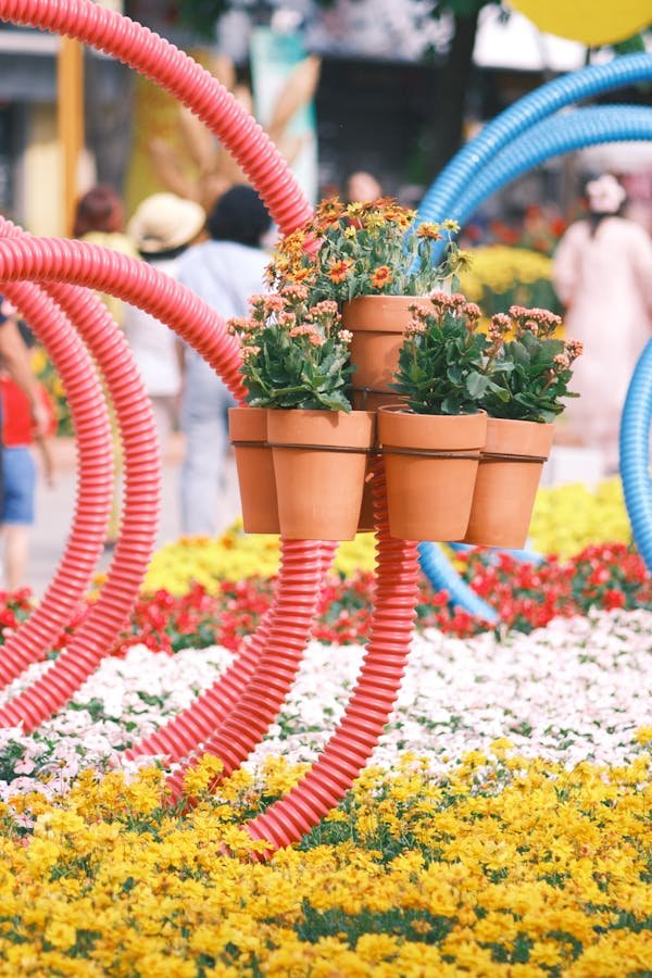 Jardinage et bricolage : astuces pratiques pour votre projet